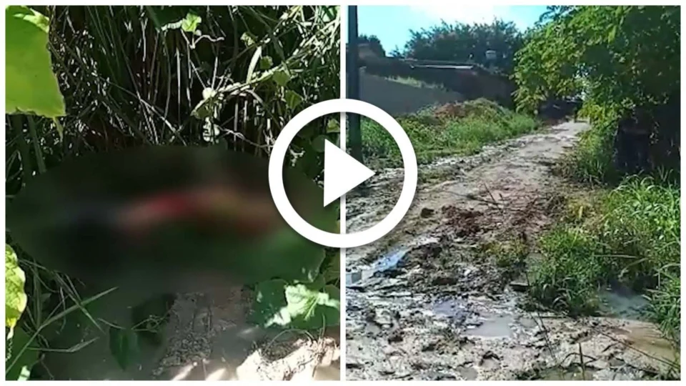 VÍDEO: corpo é encontrado com perfurações em área de mata na Zona Norte de Manaus