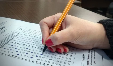 Veja os processos seletivos e concursos abertos nesta semana no Amazonas