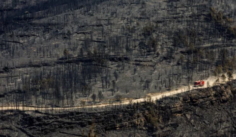 FOTOS: onda de calor extremo atinge Europa
