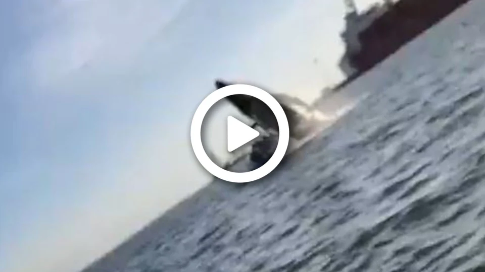 VÍDEO: baleia se joga em cima de barco em porto no México