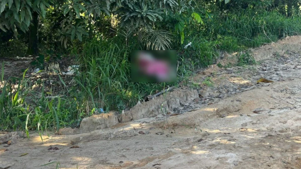 Corpo é encontrado degolado com pés e mãos amarrados na Zona Norte de Manaus