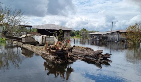 Fonte Boa, no AM, decreta situação de emergência por conta da subida do Rio Solimões