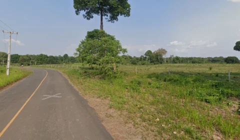 Pesquisa aponta que desmatamento cresce próximo a estradas no Brasil