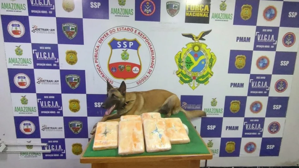 Mais de 6 kg de drogas são apreendidas em embarcação no Rio Solimões, no AM