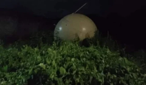 Objeto estranho cai em copa de árvore na cidade de Veracruz, no México