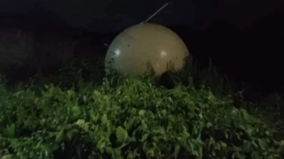 Objeto estranho cai em copa de árvore na cidade de Veracruz, no México