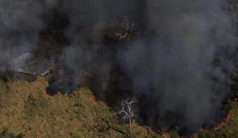Entenda como as queimadas afetam a formação de nuvens de chuva na Amazônia