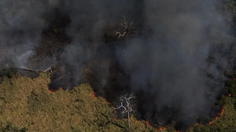 Entenda como as queimadas afetam a formação de nuvens de chuva na Amazônia