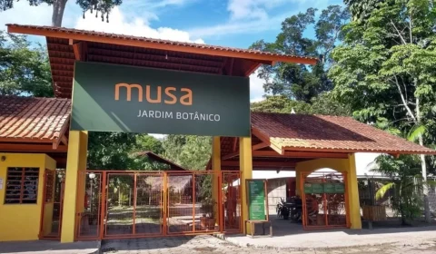 Casa de Borboletas será inaugurada no Museu da Amazônia no domingo (29/05)