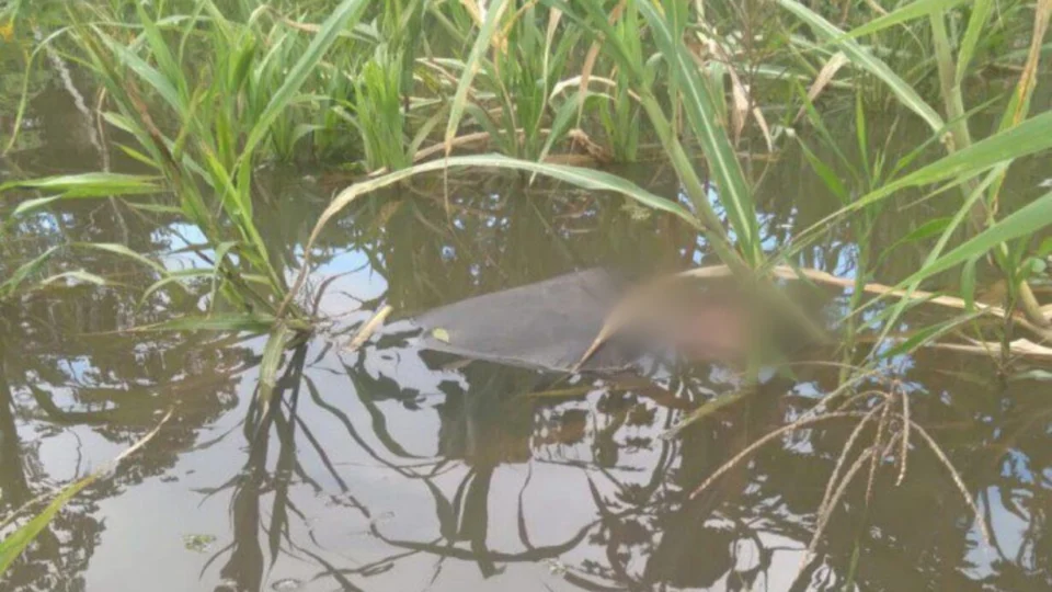 Corpo é encontrado boiando no interior do Amazonas
