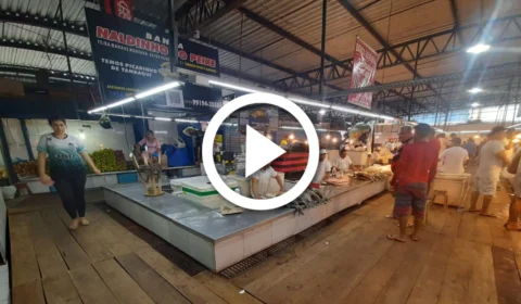 VÍDEO: cheia do rio Negro afeta feira da Manaus Moderna no Centro de Manaus