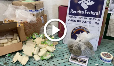 VÍDEO: agentes caninos encontram mais de 4 kg de drogas dentro de encomendas nos Correios, em Manaus