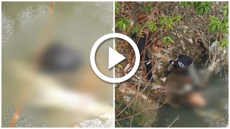 VÍDEO: corpo de homem é encontrado boiando em igarapé na Zona Oeste de Manaus