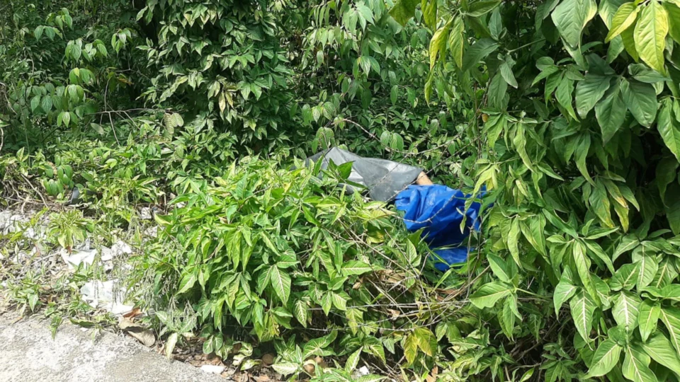 Corpo é encontrado em área de mata na Estrada do Futuro, Zona Oeste de Manaus