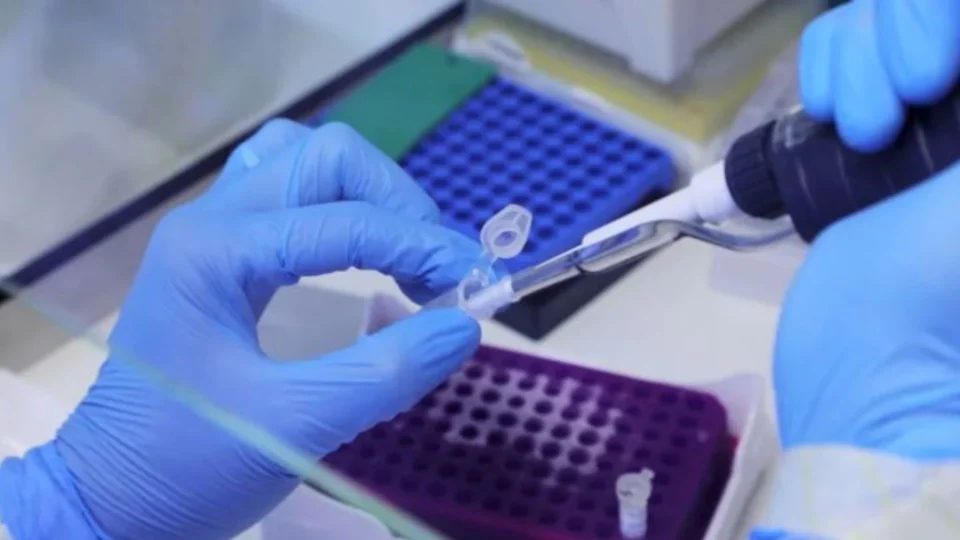 Varíola dos macacos: homem é diagnosticado após participar de evento ao ar livre, no Reino Unido