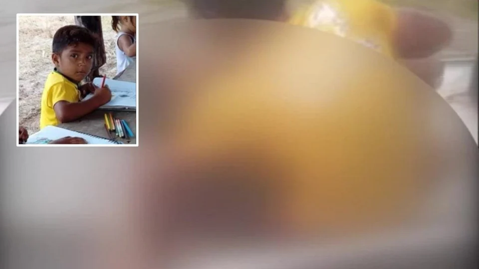 Criança de 8 anos morre após ser atacada por jacaré enquanto tomava banho de rio com irmão em Aldeia, no Pará