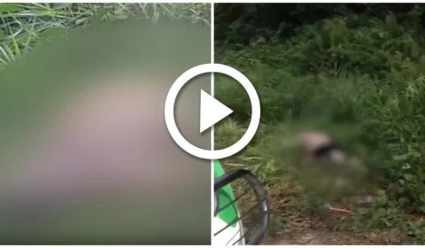 VÍDEO: corpo do sexo masculino foi encontrado em ramal da Zona Oeste de Manaus