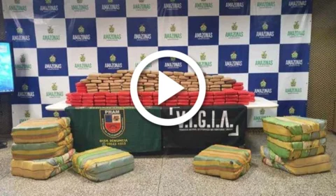 VÍDEO: polícia apreende 600 kg de maconha no município Novo Airão, interior do Amazonas
