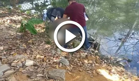 VÍDEO: restos mortais de corpo humano são encontrados em igarapé do Parque dos Bilhares em Manaus