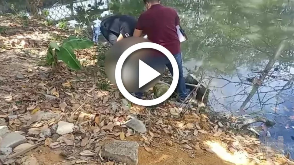 VÍDEO: restos mortais de corpo humano são encontrados em igarapé do Parque dos Bilhares em Manaus