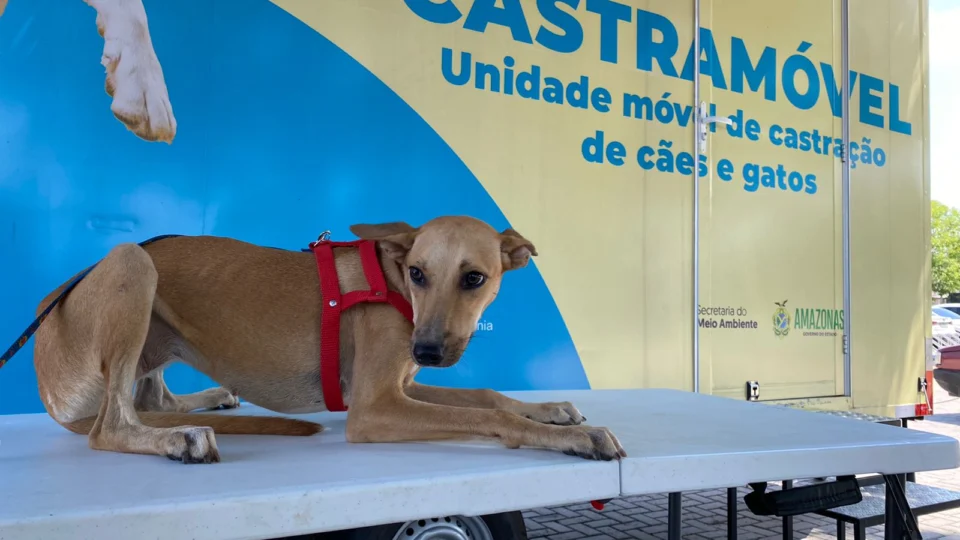 Castramóvel realiza atendimentos em Itacoatiara, interior do AM, neste fim de semana