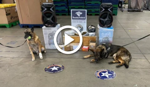 VÍDEO: agentes caninos encontram mais de 6 kg de drogas dentro de caixa de som e outros objetos nos Correios, em Manaus