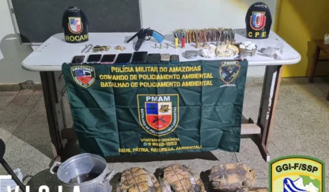 No AM, homem é preso com arma, drogas e com 8 quelônios em Barcelos