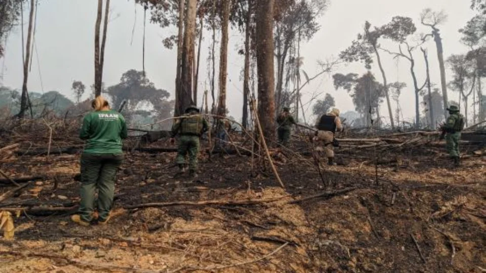 Instituições de segurança pública no AM terão poder de fiscalização ambiental, diz decreto estadual