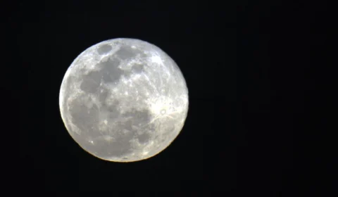 Julho terá chuva de meteoros e Lua dos Cervos