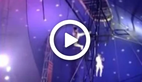VÍDEO: trapezista cai de uma altura de três metros em estreia de circo no Ceará