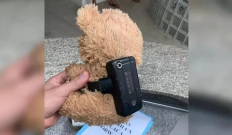 Tornozeleira eletrônica é encontrada em um urso de pelúcia no Ceará