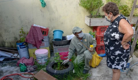 Aedes aegypti: Manaus tem 17 bairros em alta vulnerabilidade para doenças transmitidas pelo mosquito