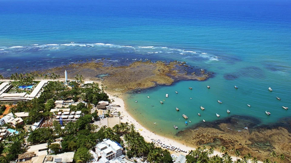 Conheça as belezas da Praia do Forte, na Bahia