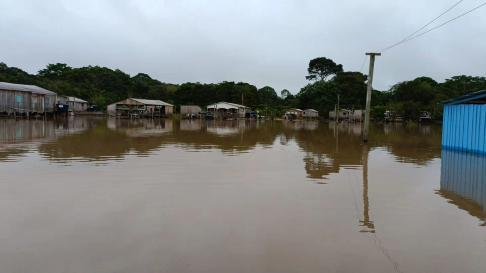 Pauini, no AM, decreta estado de alerta por conta da cheia do rios Acre, Purus e Sena Madureira