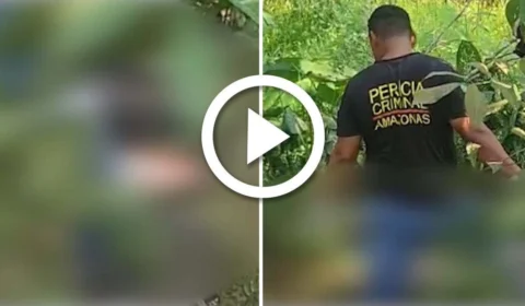VÍDEO: corpo carbonizado é encontrado em área de mata na Zona Norte de Manaus
