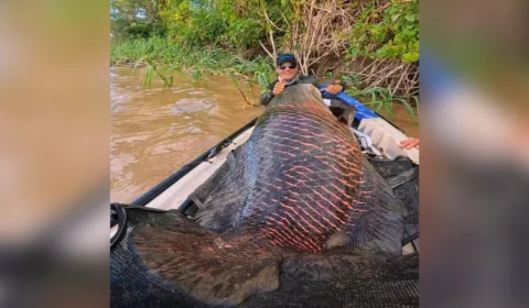 Pirarucu de 2 metros e mais de 100 kg é fisgado no Rio Madeira, em Rondônia; veja fotos