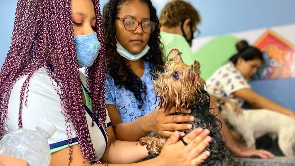 Semtepi oferta 60 vagas gratuitas em cursos de ‘Banho e Tosa para Pets’, em Manaus