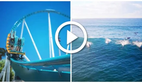 VÍDEO: SeaWorld anuncia nova montanha-russa para 2023 nos Estados Unidos