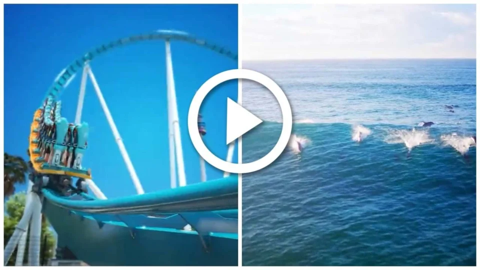 VÍDEO: SeaWorld anuncia nova montanha-russa para 2023 nos Estados Unidos