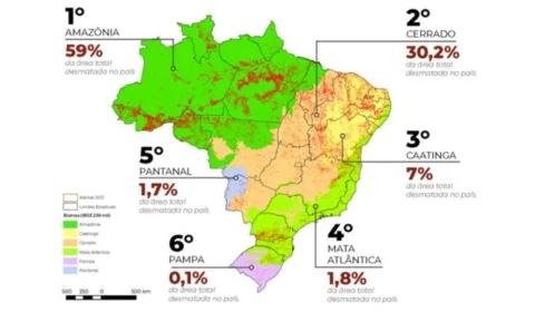 No Brasil, Amazônia lidera registros de desmatamento em 2021, diz MapBiomas
