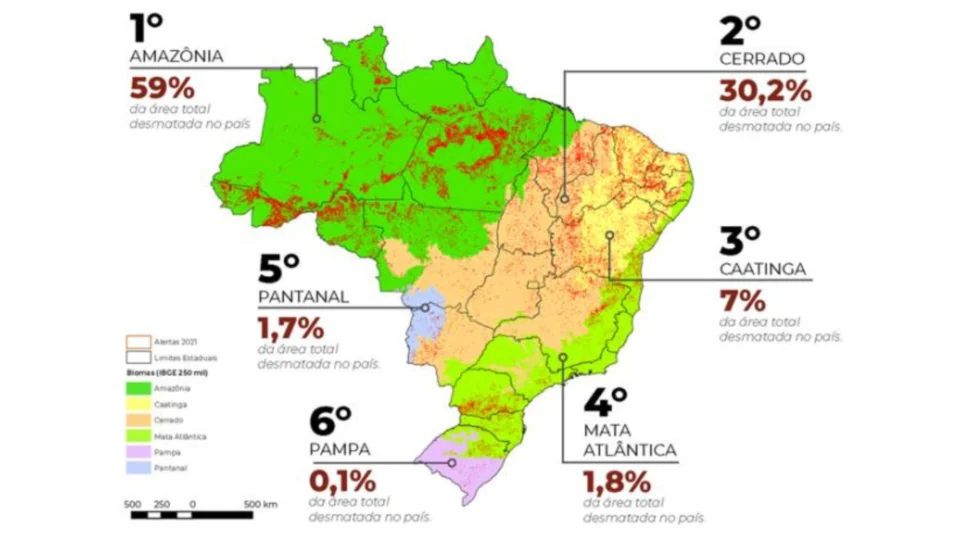 No Brasil, Amazônia lidera registros de desmatamento em 2021, diz MapBiomas