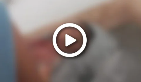 VÍDEO: durante troca de tiros com a polícia, dois suspeitos de chacina no AM morrem e um é preso