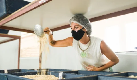 Veja 10 dicas para ter um negócio de sucesso e competitivo no mercado