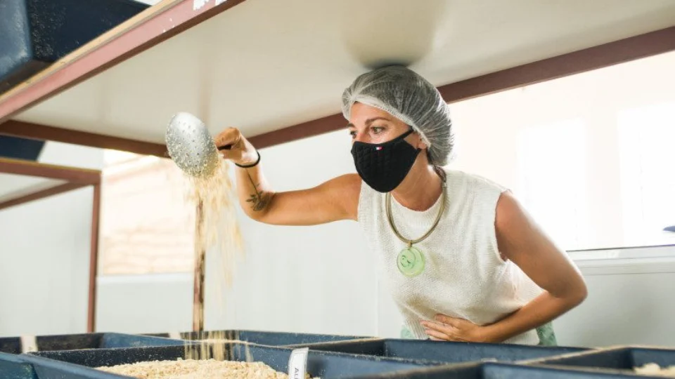 Veja 10 dicas para ter um negócio de sucesso e competitivo no mercado