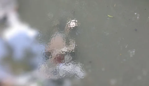 Corpo é encontrado boiando em igarapé na Zona Norte de Manaus