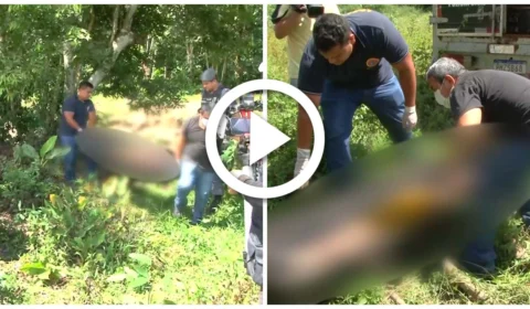 VÍDEO: corpo é encontrado, com facada no pescoço, dentro de um igarapé na Zona Centro-Sul de Manaus