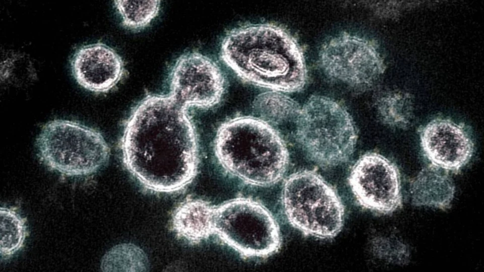 Coronavírus: nova subvariante é identificada em São Paulo