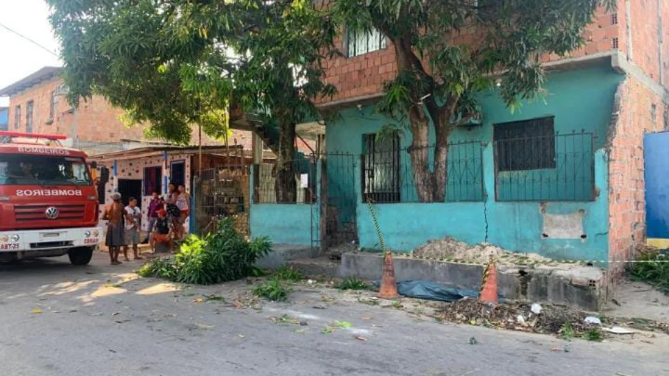 Homem morre eletrocutado ao subir em uma árvore para coletar manga, em Manaus