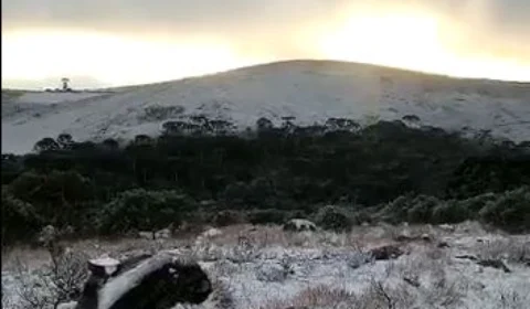 VÍDEO: Neve cai em vários municípios de Santa Catarina