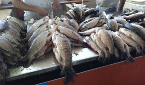 Acordo de pesca do Rio Mutuca é ampliado e beneficiará indígenas no AM